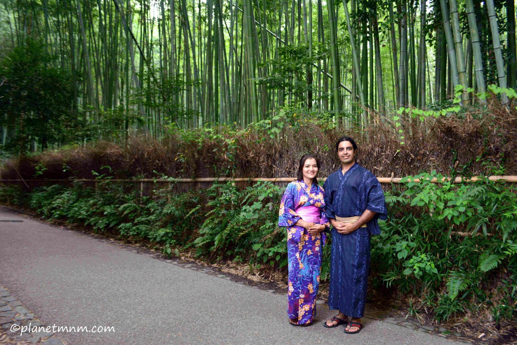 Beautiful Bamboo Forest