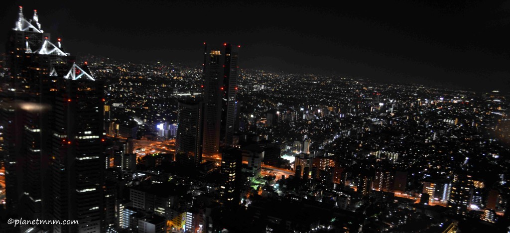 View from Tokyo Metropolitan Building