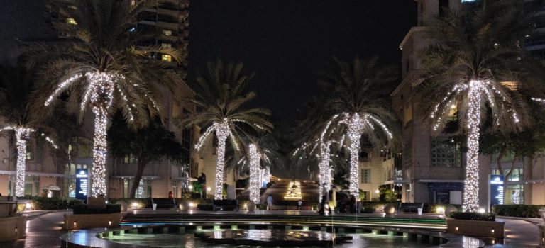 Explore Dubai Business Bay Area like a local